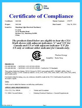 certificate2